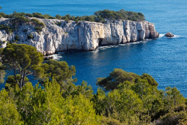 職場花絮｜感受書藝之美 能領國際參訪《當下．朱振南書藝展》